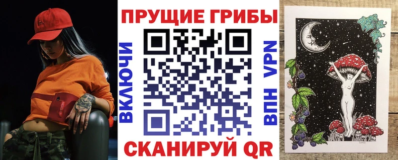 Купить закладки  Славянск-на-Кубани  Галлюциногенные грибы Psilocybine cubensis 